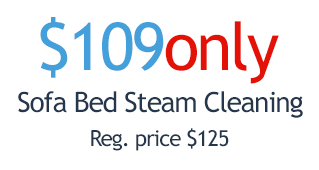 $109 only - sofa bed steam